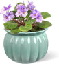 BUYMAX African Violet Pots, 6 inch Pumpkin-Style Ceramic Easy Self Watering Plant Pot for Busy Plant Lovers, Automatically Absorb Appropriate Amount of Water, Flower Pot Indoor-Plants Not Included
