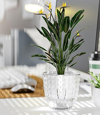 Self Watering Pots for Indoor Plants, Flower Pots, Self Watering Plant Pot-3pcs 6inch Clear