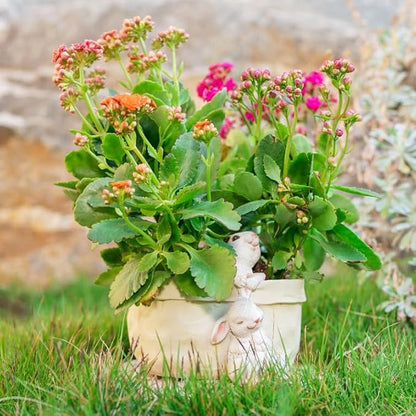 Rabbit Flower Pot Succulent Planter Garden Pots,Decorative Flower Pot,Bunny Pot Resin Containers,Animal Shaped Cartoon Planter Pots,Art Decorations(No Drainage Hole)