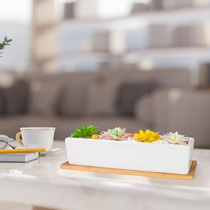 Succulent Pots - 12.1 Inch Large Succulent Pots with Drainage Tray, Window Sill Planter, Long Rectangle Ceramic Pots for Indoor Cactus/Succulent Plants Shallow Bonsai Window Box for Home Garden Decor