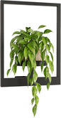 Bamworld Plant Stand Indoor Wall Decor Metal Plant Hanger Indoor Hanging Plant Holder Wall-Mounted Planters Outdoor Plant Rack Black 1 Pack (Patent Design)
