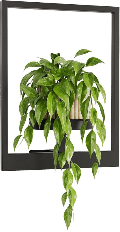 Wall Plant Holder Wall Planters for Indoor Plants Plant Wall Shelf Plant Hanger Indoor Hanging Plant Holder Plant Wall Hanger for Living Room Window Balcony