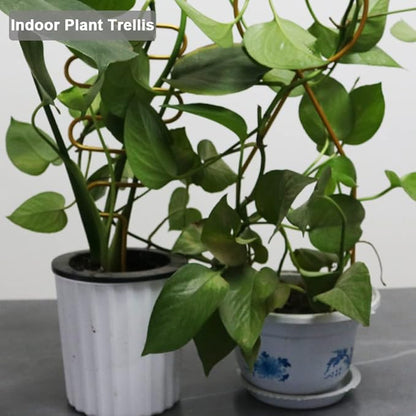 Small Metal Trellis for Potted Plants, 3 Pcs Gold Trellis for Climbing Plants Indoor, Plant Support Stake Mini House Plant Trellis for Hoya, Flower, Pothos, Monstera