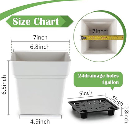 6-Pack 7 Inch Square Planters - Heavy Duty White Pots for Indoor Plants, Plastic Flower Pots with Built-in Drainage Tray & Stopper, Matte Modern Garden Planter, BPA-Free for Herbs & Succulents