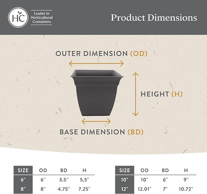 The HC Companies Eclipse Square Plastic Planter w/Attached Saucer - Outdoor & Indoor Plant Pot with Drainage Holes - Lightweight, UV-Resistant Plastic Pots for Plants (6" Rose, Pack of 1)