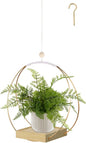 Hanging Planter for Indoor Plants, Plant Hanger with Sturdy Wood Base,Modern Boho Macrame Plant Hanger,Wall Ceiling Window Stands(Plants/Pots Not Included)