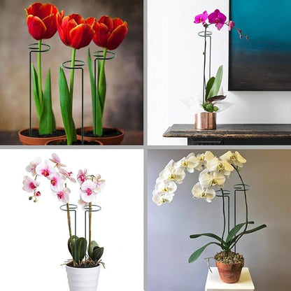 HiGift 10 Pack 24 inch Plant Stakes and Supports, Metal Flower Stakes for Potted Plant Indoor, Garden Stakes for Tall Plant Single Stem Flowers Amaryllis Tomatoes Peony Lily Rose (61 cm Long)