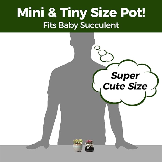 Ceramic Succulent Pots, 12-Pack Mini Planters with Flowing Glaze