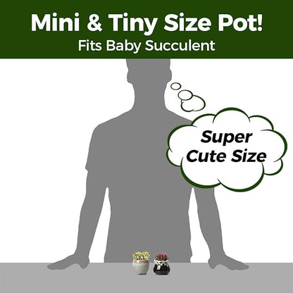 Ceramic Succulent Pots, 12-Pack Mini Planters with Flowing Glaze