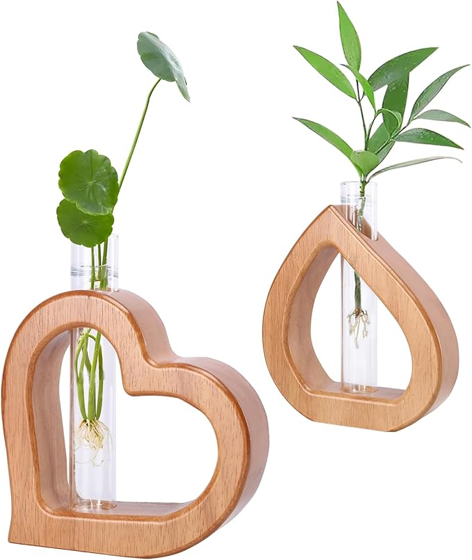Terrarium Set of 2 with Heart-Shaped Wood Stand and Glass Tube
