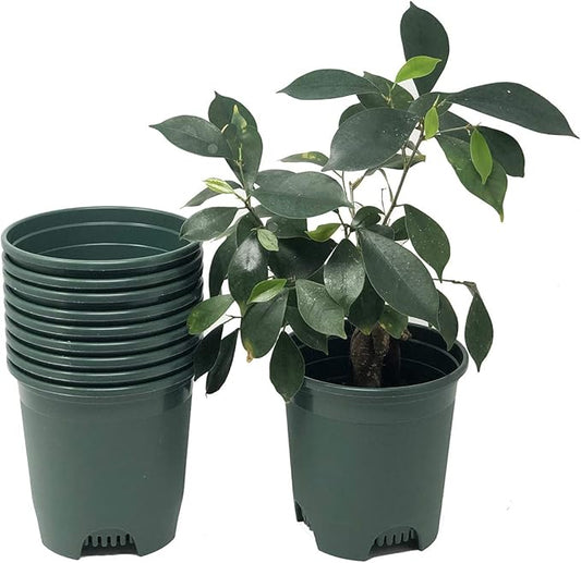 30-Pack Wholesale Nursery Pot in Bulk 5.5 Inch 0.5 Gallon Plastic Planters for Outdoor Indoor Plants Gardening Flower Pots with Drainage Holes Color Green