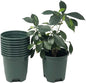 30-Pack Wholesale Nursery Pot in Bulk 5.5 Inch 0.5 Gallon Plastic Planters for Outdoor Indoor Plants Gardening Flower Pots with Drainage Holes Color Green