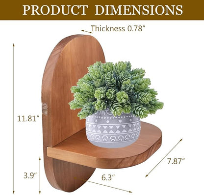 ARTORA Wall Mounted Plant Holder, Wooden Flower Pot Wall Hanging Shelf Black Indoor Outdoor Decorative Floating Shelves Planter Hanger Racks for Wall Bedroom Living Room Porch Balcony Decor (1 Pack)