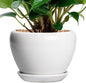 Ceramic Pot for Plants - 6 Inch Plant Pot for Succulent Plants, Glaze Modern Round Planter with Drainage Hole and Saucer, Gifts for Plant Lovers, Home Office Patio Room Decor, White