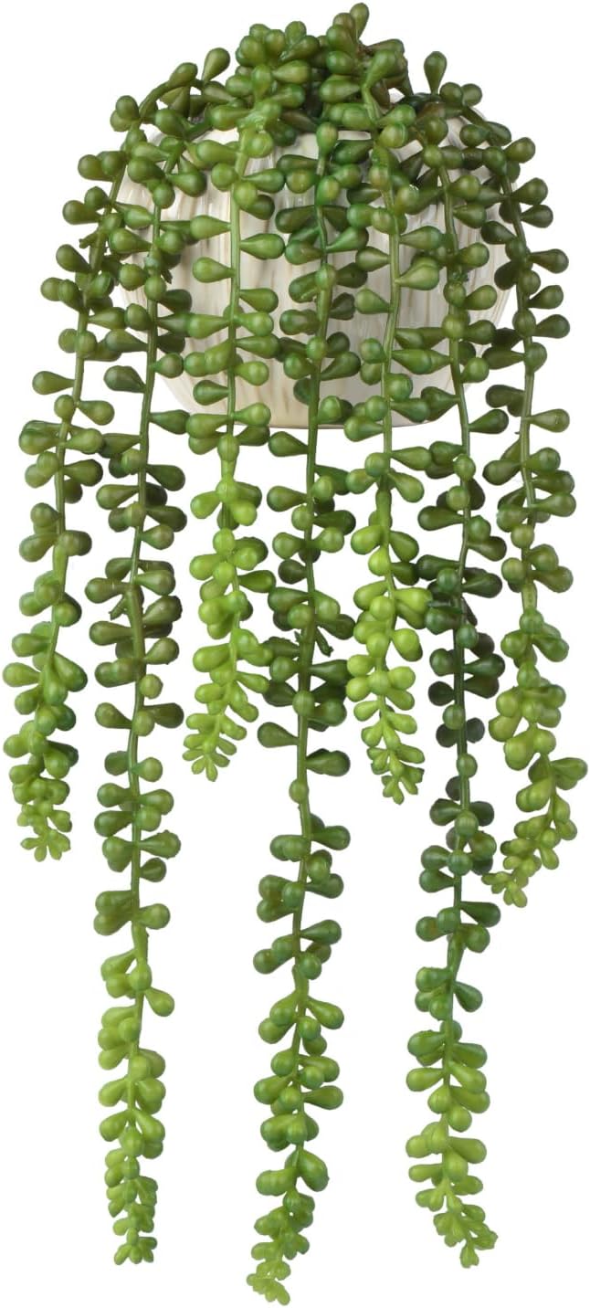 Artificial Plants Greenery, String of Pearls, Green Plastic, 15 Inch