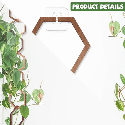 18Pcs Chain Trellis for Climbing Plants, Indoor&Outdoor Garden Wall Trellis, Plant Vine Support Wooden Potted Plant Trellis for Monstera, Pothos, Ivy