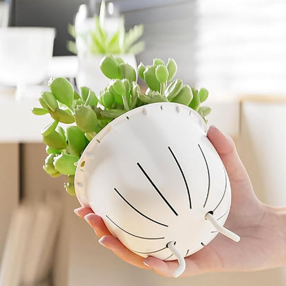 2 Pack 6 inch Self Watering Pots Planters for Indoor Plants, African Violets Pots with Wick Rope, Modern Plastic Nursery Pots for All House Plants,Flowers Succulents,Herbs,Cactus,Orchids