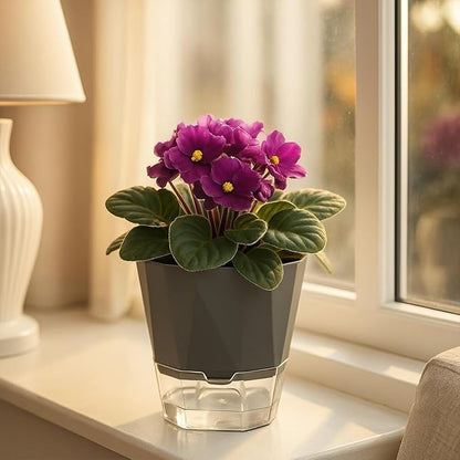 10 Pack Self Watering Pots for Indoor Plants, 6.7 Inches Self Watering Planters African Violet Pots Clear Pots for Herb Orchid Flower Houseplant, Dark Grey