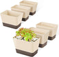 GREANER Indoor Planter Pots with Drainage, 6 Pack 6x3.8 Inch Herb Window Boxes with Saucer, Modern Plastic Plant Flower Succulent Cactus Pots for Windowsill, Garden Balcony, Home Office Outdoor Decor