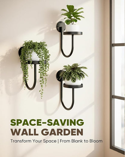 Wall Plant Holder – Hanging Planters for Indoor, Window Planter Shelves & Hanger, Indoor Wall Planters, Modern Plant Decor, Black (3 Pack)