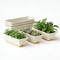 Window Box Planter, 6 Pack Plastic Vegetable Flower Window Planters Boxes 16 Inches Rectangular Flower Pots with Drainage Holes and Saucers (White)