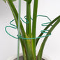 5PCS Monstera Plant Stem Support 7.3*6.25IN Adjustable Holder for Indoor Plants, Durable Metal Structure with Gentle Clips, Perfect for Fishbone Cactus & Climbing Plants, Ideal Gardening Gift