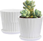 Plant Pots - 6.7 Inch Cylinder Ceramic Planters with Connected Saucer, Pots for Succuelnt and Little Snake Plants, Set of 2, White