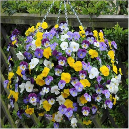 Ultimate Hanging Baskets - Strawberry, Tomato, Flower, and Herb Outdoor Planters - Use Garden Pots for Growing Plants Outside On A Deck, Fence, or Balcony (2)