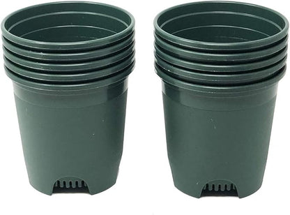 5.5 Inch Gardening Flower Pots 10-Pack Green Pot Liners 0.5 Gallon Nursery Pot Plastic Planters for Outdoor Indoor Plants with Drainage Holes
