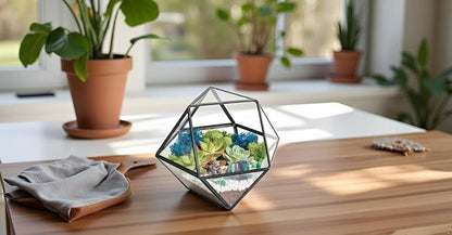 Terrarium Kit with 7-Inch Glass Dodecahedron Container, Moss and Tools