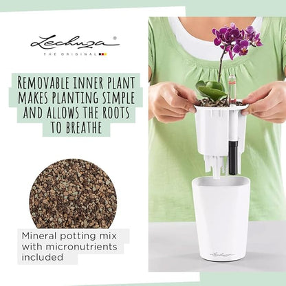 Lechuza MINI-DELTINI Shiny Taupe High Gloss, Self-Watering Small Indoor Planter, H5.1 L3.9 W3.9 in