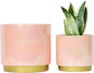 Gepege Pink Indoor Plant Pots for Plants, Ceramic Planter with Drainage Hole, 7.6 Inch +6 Inch 2pcs Succulent Orchid Flower Pot - Rainbow Pearl Glaze