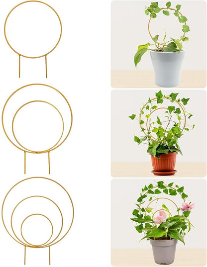 Unique Round Hoya Trellis, 3 Pcs Different Small Houseplant Trellis for Indoor Climbing Plant, Garden Trellis Plant Support for Potted Ivy and Flowers Outdoor(Gold)