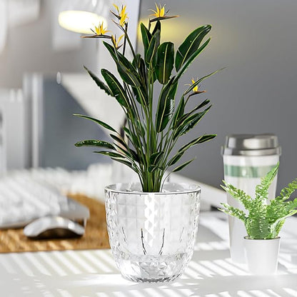 6 Pack 4 inch Self Watering Pots Planters for Indoor Plants, African Violets Pots with Wick Rope, Modern Plastic Nursery Pots for All House Plants,Flowers Succulents,Herbs,Cactus,Orchids