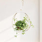 Mid Century Boho Macrame Metal Planter - Indoor/Outdoor Hanger, Conner Ceiling, Gift for Mom or Plant Lovers, Housewarming