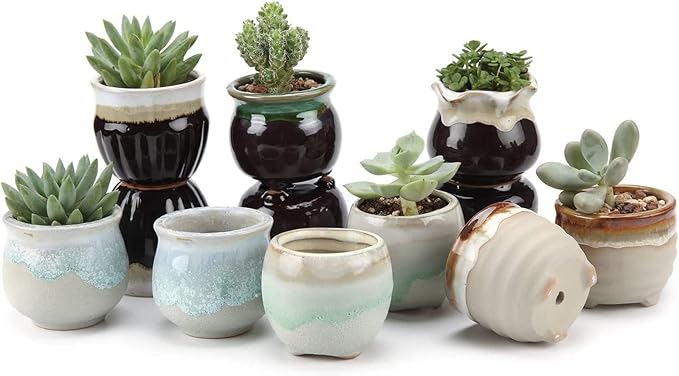 Ceramic Succulent Pots, 12-Pack Mini Planters with Flowing Glaze