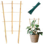 Plant Trellis Indoor 6 Pack Bamboo Trellis with Twist Ties, 16in Fan-Shaped Plant Trellises for Potted Plants Hoya Vines Monstera Houseplants