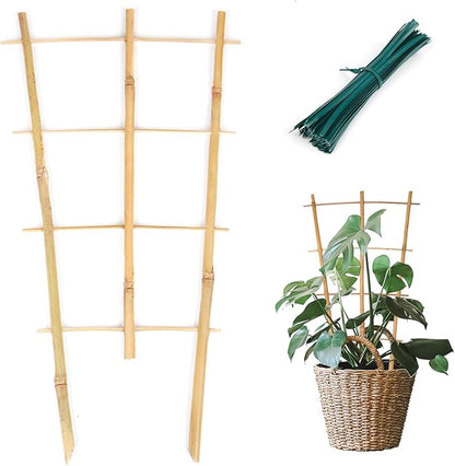 Bamboo Trellis 10 Pack, 16in Fan-Shaped Plant Trellis Indoor for Climbing Plants