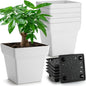 6-Pack 7 Inch Square Planters - Heavy Duty White Pots for Indoor Plants, Plastic Flower Pots with Built-in Drainage Tray & Stopper, Matte Modern Garden Planter, BPA-Free for Herbs & Succulents