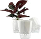 3 Packs Self Watering Plant Pots, Plastic Flower Pots with Drainage Hole and Saucer, Self Watering Planters for Indoor Outdoor Garden Plants, African Violet, Herbs (White, 6.7")