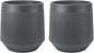 Plant Pots，Set of 2 Plastic Large Pots for Indoor Plants,Flower Pots Outdoor Planters with Drainage Hole and Seamless Saucer,(Gray 12Inches)