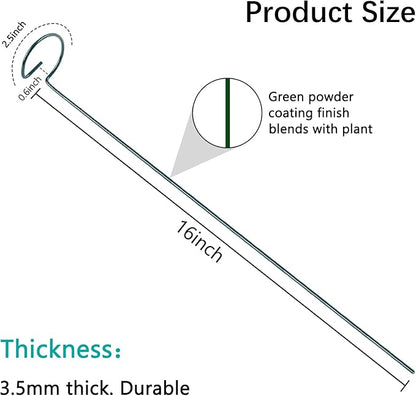 20 Pack 16 Inch Plant Support Stakes, Metal Single stemmed Flower Support Hoops，Garden Plant Stakes Plant Prop for Amaryllis Orchid Lily Rose Peony Tomatoes Gladiolus