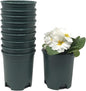 Wholesale Bulk Nursery Pot 4 Inch Green Plastic Planters 30-Pack 0.25 Gallon Pots for Outdoor Indoor Plants Gardening Flower with Drainage Holes