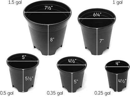 5.5 Inch Gardening Flower Pots 10-Pack Black Pot Liners 0.5 Gallon Nursery Pot Plastic Planters for Outdoor Indoor Plants with Drainage Holes