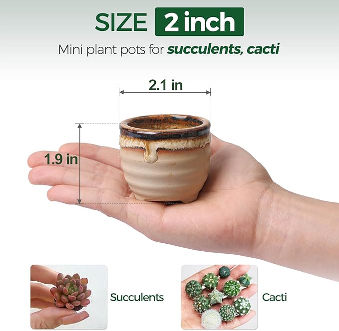 Ceramic Succulent Pots, 12-Pack Mini Planters with Flowing Glaze