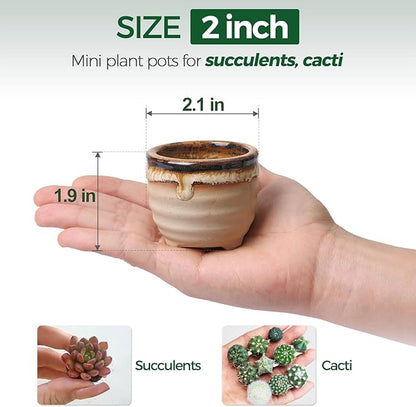 Ceramic Succulent Pots, 12-Pack Mini Planters with Flowing Glaze