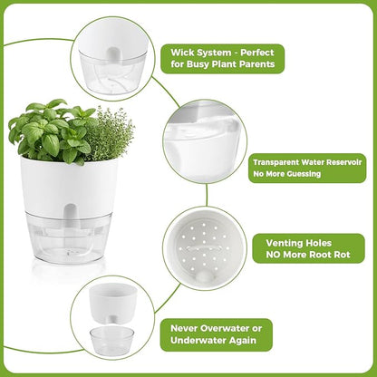 Planterhoma 5 Pack Self Watering Pots for Indoor Plants, 9 Inch Plant Pot Plastic Self Watering Planter for Orchid, Monstera, Lily, Large Clear Flower Pots with Drainage Holes and Wicking Rope, White