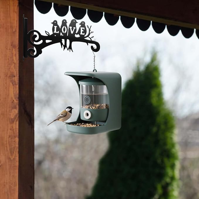4-Pack Aesthetic Plant Hangers Outdoor and Indoor – 10 Inch Metal Hanging Plant Bracket with Beautiful Bird Pattern – Anti Rust Plant Hooks for Hanging Baskets, Bird Feeder, Windchime, Lantern