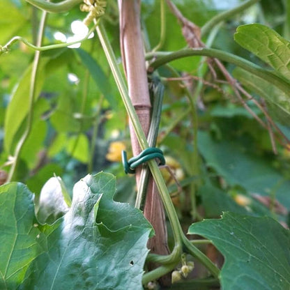 Decoroca Garden Flexible Tie, Soft Twist Plant Ties 32.8' - Green Support Plant Wire, Durable Heavy Duty Vines, Stems & Stalks