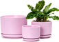 Ton Sin Pink Flower Pots,Ceramic Planter Pot for Indoor Plants,Set of 3 Flower Pot with Drainage Holes and Tray,Cute House Plant Pot for Succulent, Orchid, Cactus(Matte Pink)